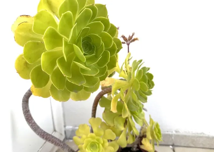 Apartment Terrazza Visconti